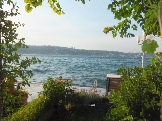 Name:  DSCF5186.jpg
Views: 683
Size:  56.1 KB