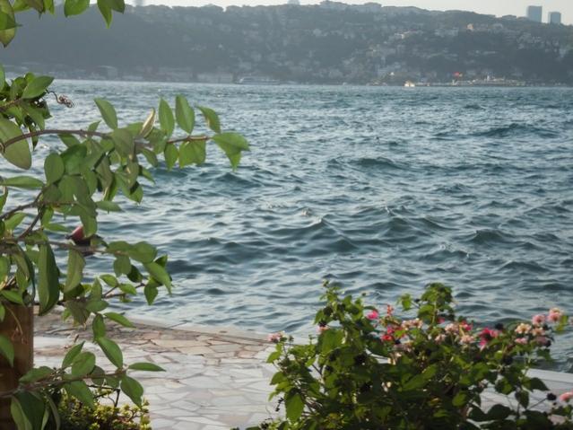 Name:  DSCF5187.jpg
Views: 437
Size:  58.0 KB