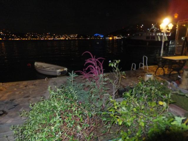 Name:  DSCF5316.jpg
Views: 434
Size:  46.2 KB