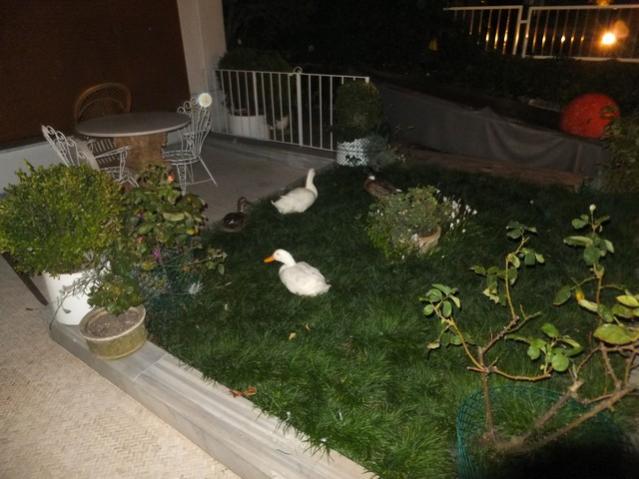 Name:  DSCF5321.jpg
Views: 436
Size:  45.1 KB