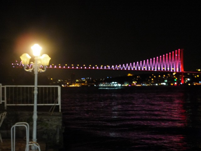 Name:  DSCF5330.jpg
Views: 454
Size:  66.1 KB