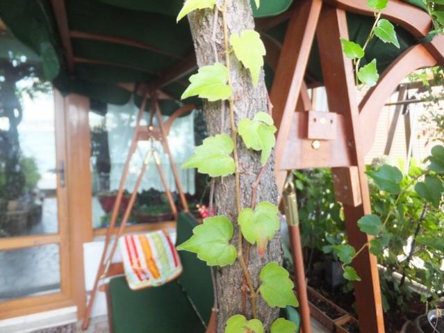 Name:  DSCF5379.jpg
Views: 442
Size:  48.5 KB