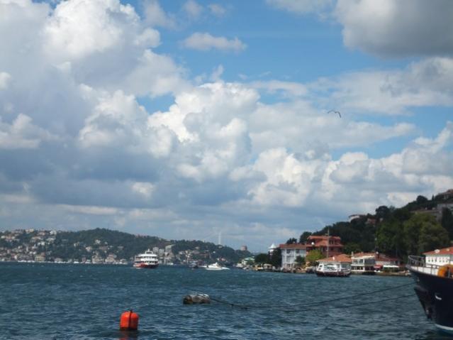 Name:  DSCF5390.jpg
Views: 683
Size:  33.5 KB