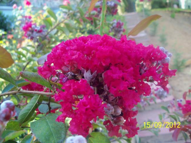 Name:  101_1662.jpg
Views: 537
Size:  50.9 KB