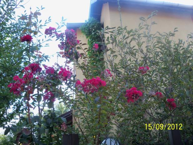 Name:  101_1681.jpg
Views: 513
Size:  71.0 KB