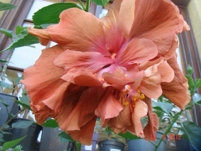 Name:  DSC00751.jpg
Views: 525
Size:  47.5 KB