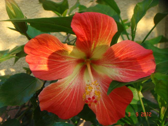 Name:  DSC00006.jpg
Views: 522
Size:  43.8 KB
