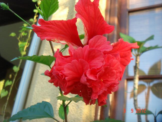 Name:  DSC09993.jpg
Views: 514
Size:  41.7 KB
