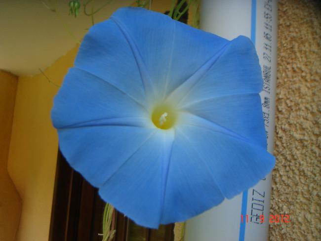 Name:  DSC00687.jpg
Views: 461
Size:  28.9 KB