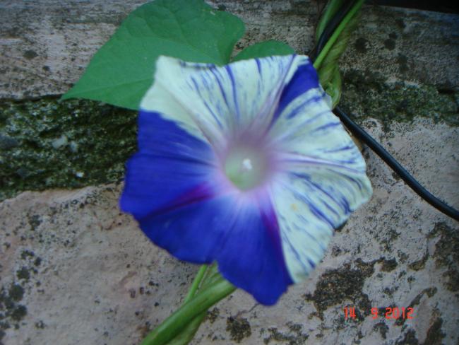 Name:  DSC00792.jpg
Views: 470
Size:  49.3 KB