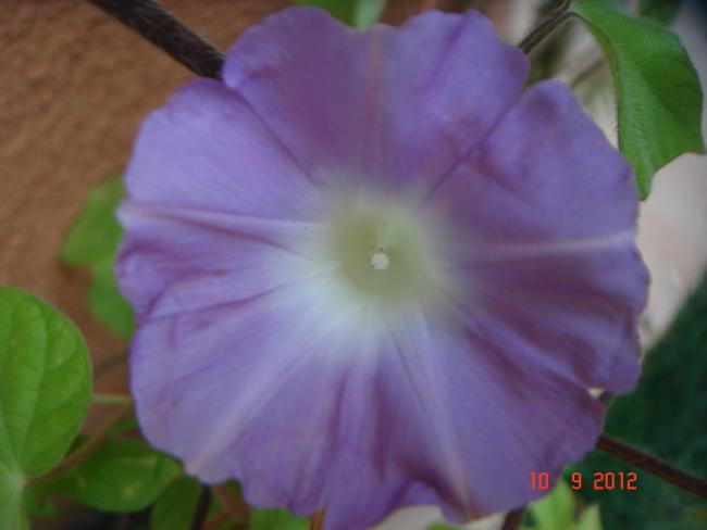 Name:  DSC00640.jpg
Views: 465
Size:  23.8 KB