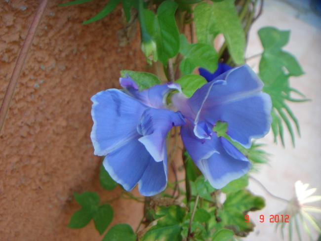 Name:  DSC00461.jpg
Views: 464
Size:  35.4 KB