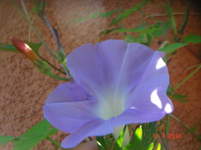 Name:  DSC00470.jpg
Views: 461
Size:  30.7 KB