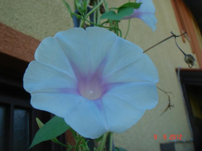 Name:  DSC00491.jpg
Views: 465
Size:  24.4 KB