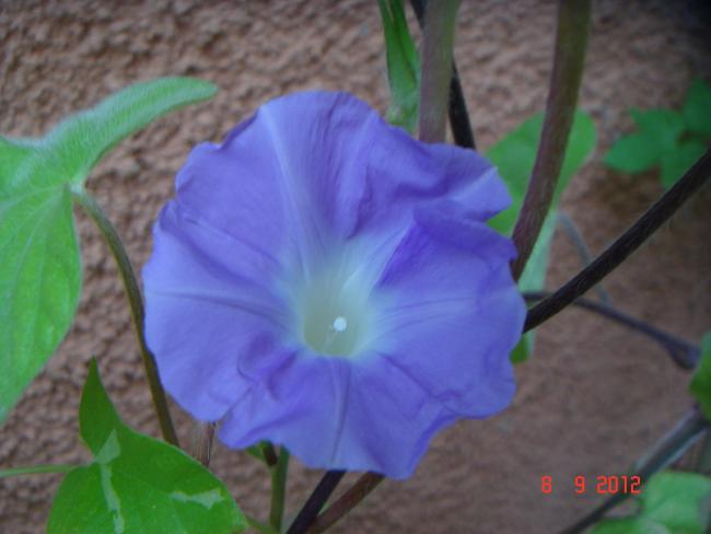 Name:  DSC00207.jpg
Views: 462
Size:  31.0 KB