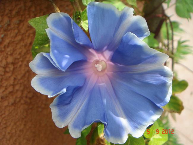 Name:  DSC00054.jpg
Views: 474
Size:  37.8 KB