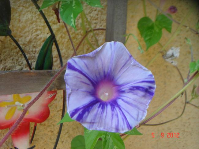 Name:  DSC00061.jpg
Views: 469
Size:  41.0 KB