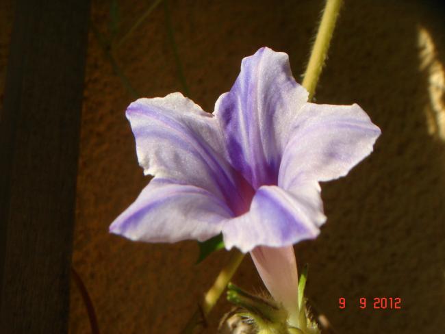 Name:  DSC00393.jpg
Views: 490
Size:  28.1 KB