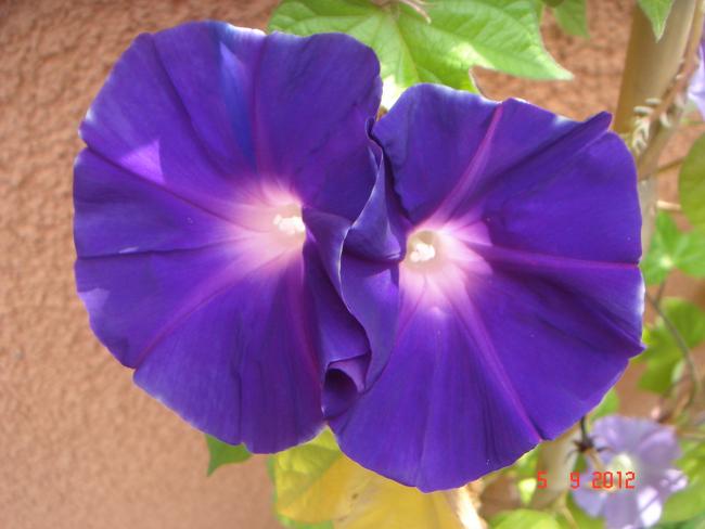 Name:  DSC00041.jpg
Views: 480
Size:  34.2 KB