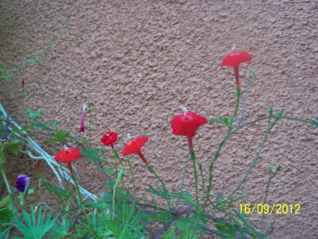 Name:  101_1793.jpg
Views: 636
Size:  65.1 KB