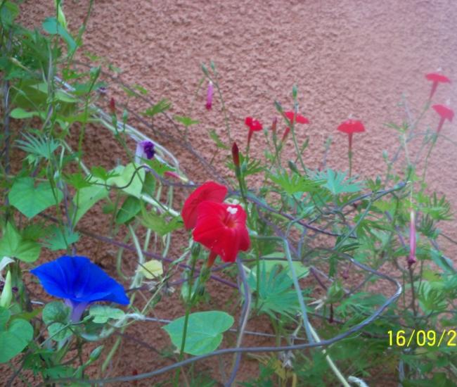 Name:  101_1775.jpg
Views: 992
Size:  63.1 KB