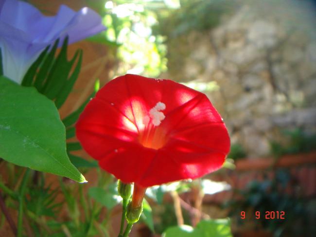 Name:  DSC00474.jpg
Views: 706
Size:  31.2 KB