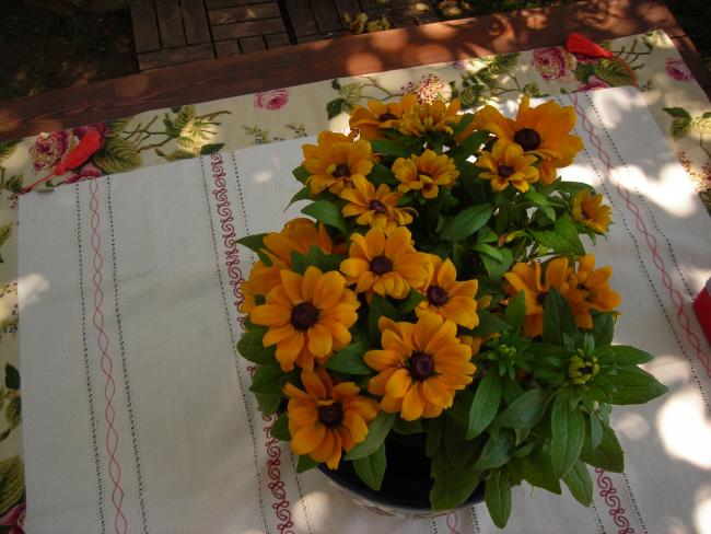 Name:  DSCN7749.jpg
Views: 674
Size:  50.6 KB