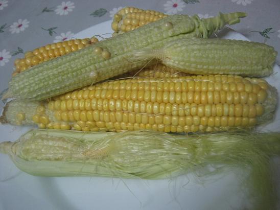 Name:  msrlar.JPG
Views: 1912
Size:  44.1 KB