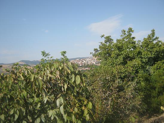 Name:  bahe2.JPG
Views: 1846
Size:  65.9 KB
