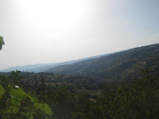 Name:  bahe3.JPG
Views: 1619
Size:  33.7 KB