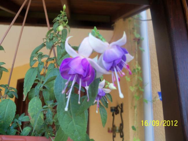 Name:  101_1875.jpg
Views: 379
Size:  39.4 KB