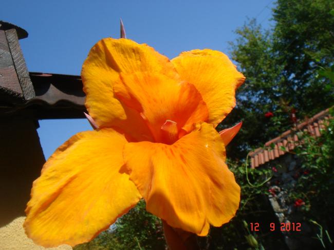 Name:  DSC00721.jpg
Views: 459
Size:  41.8 KB
