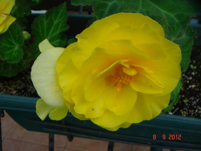 Name:  DSC00355.jpg
Views: 419
Size:  30.0 KB