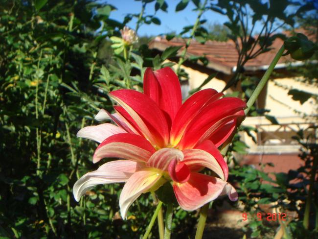 Name:  DSC00515.jpg
Views: 429
Size:  59.4 KB
