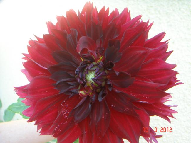 Name:  DSC00634.jpg
Views: 463
Size:  36.4 KB