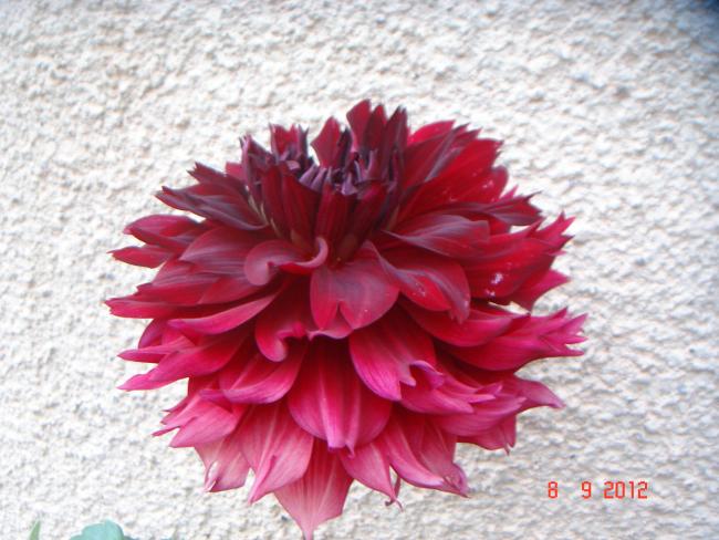 Name:  DSC00198.jpg
Views: 421
Size:  53.2 KB