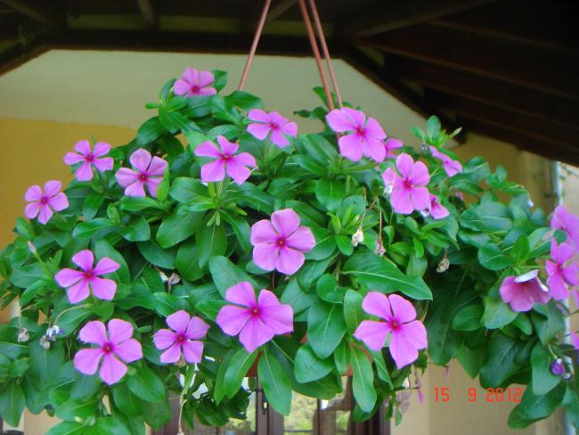 Name:  DSC00367.jpg
Views: 1020
Size:  52.7 KB