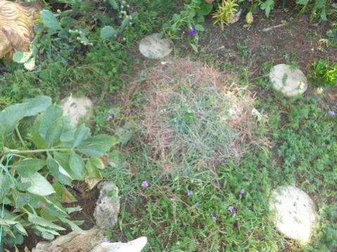 Name:  DSCF5254.jpg
Views: 356
Size:  43.6 KB
