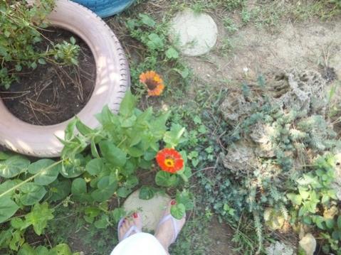 Name:  DSCF5255.jpg
Views: 340
Size:  40.8 KB