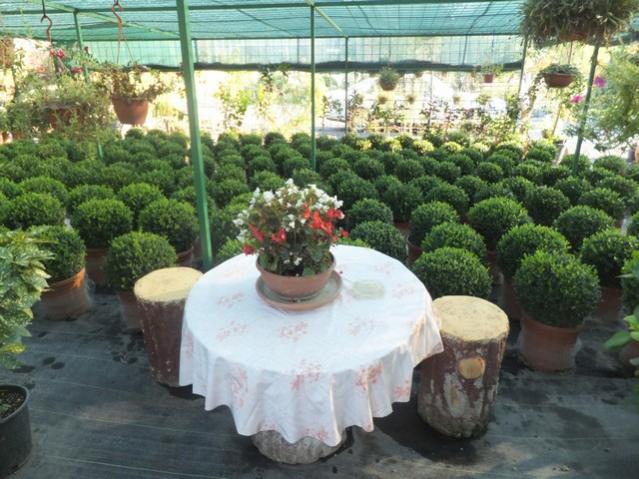 Name:  DSCF5265.jpg
Views: 655
Size:  60.0 KB