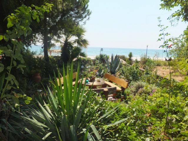 Name:  DSCF5282.jpg
Views: 457
Size:  65.7 KB