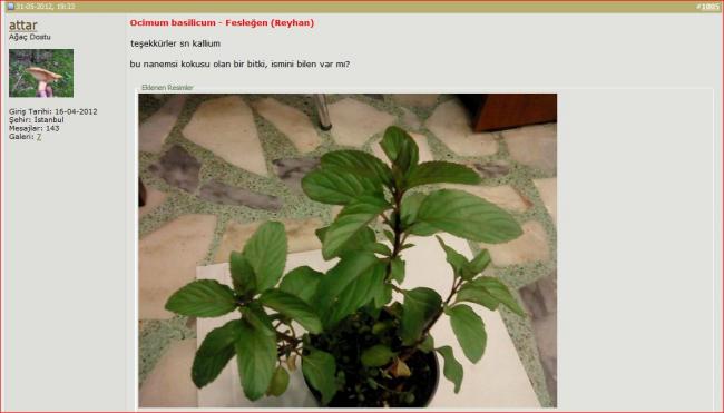 Name:  reyhan.jpg
Views: 1979
Size:  31.2 KB