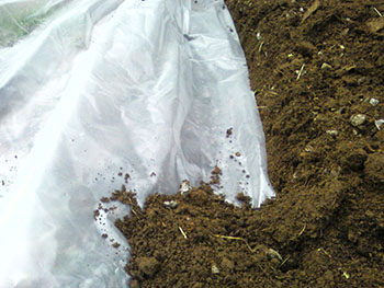 Name:  Photo-0085.jpg
Views: 2530
Size:  50.9 KB