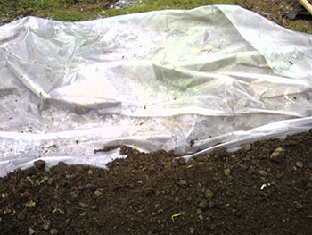 Name:  Photo-0088.jpg
Views: 2355
Size:  50.9 KB