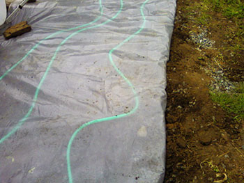 Name:  Photo-0090.jpg
Views: 2344
Size:  46.8 KB