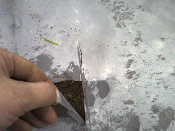 Name:  Photo-0093.jpg
Views: 2297
Size:  40.4 KB