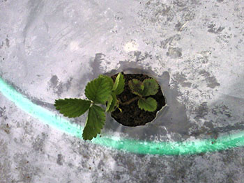 Name:  Photo-0092.jpg
Views: 2334
Size:  47.7 KB