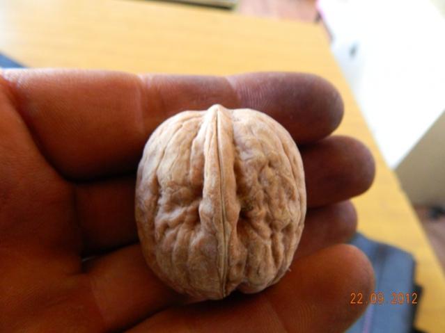 Name:  Resim 137.jpg
Views: 1891
Size:  26.1 KB