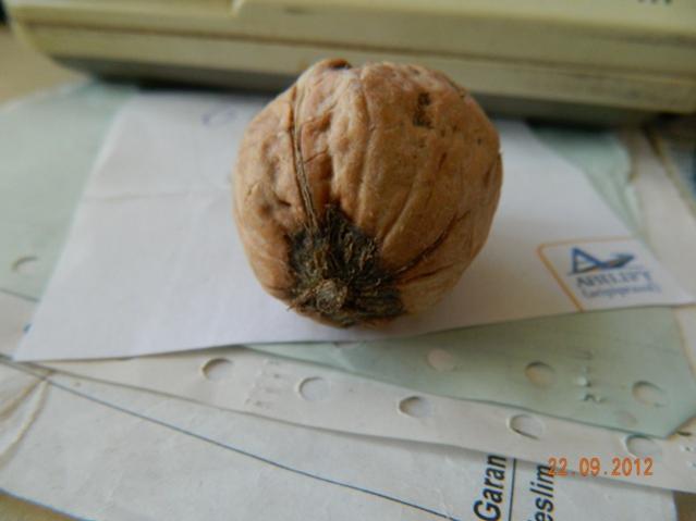 Name:  Resim 141.jpg
Views: 1941
Size:  25.9 KB