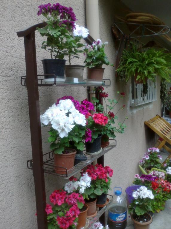 Name:  11062011016.jpg
Views: 1746
Size:  72.7 KB